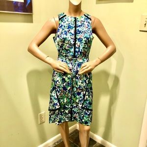 Ann Taylor Aline pattered dress